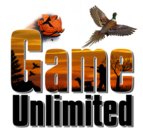 Game Unlimited